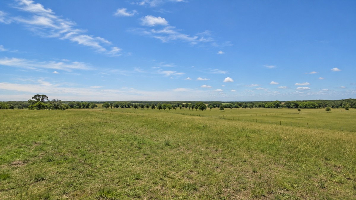 85-Acre Recreational Tract